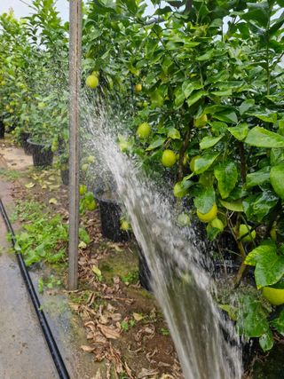 또끼풀(정국환)님의 자유주제 · 자유게시판 작성글 사진