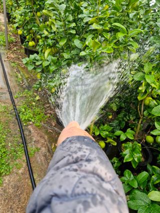 또끼풀(정국환)님의 자유주제 · 자유게시판 작성글 사진