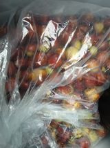 팜모닝 자유주제·자유게시판 게시글 이미지