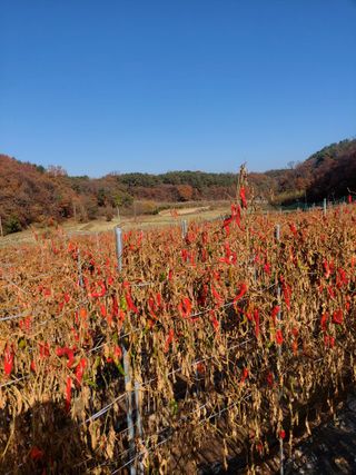 지금은 공돌이님의 작성글 사진