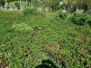 권호진님의 나에게 딱 한가지 능력이 생긴다면? · 참여글 작성글 사진