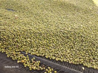 참깨11142님의 자유주제 · 자유게시판 작성글 사진
