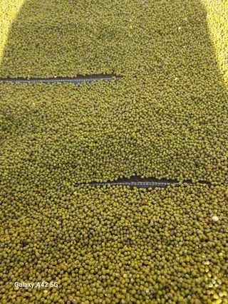 참깨11142님의 자유주제 · 자유게시판 작성글 사진