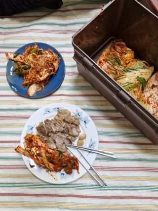 낙엽교목류21691님의 자유주제 · 자유게시판 작성글 사진