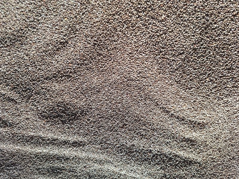 송은지님의 장터 판매 상품 [햇들깨 (6kg) ] 첨부 사진