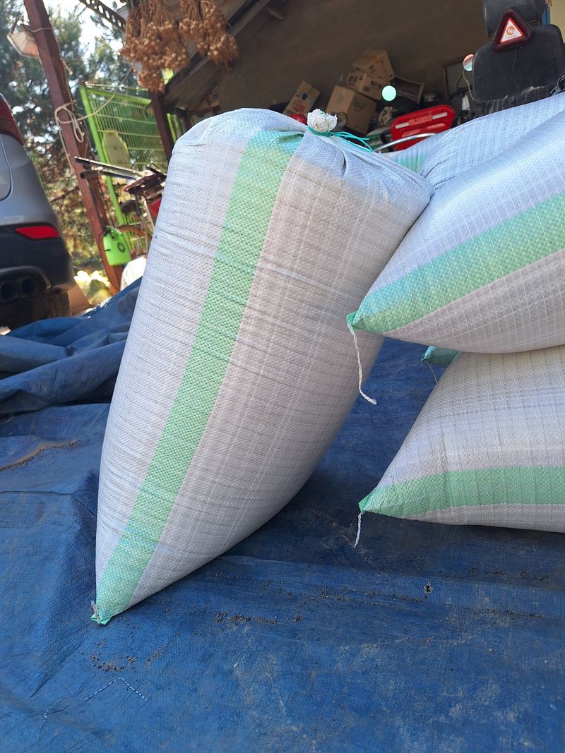 송은지님의 장터 판매 상품 [햇들깨 (6kg) ] 첨부 사진