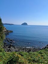 팜모닝 나에게 딱 한가지 능력이 생긴다면?·참여글 게시글 이미지