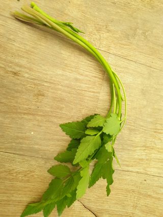 홍준영님의 자유주제 · 자유게시판 작성글 사진