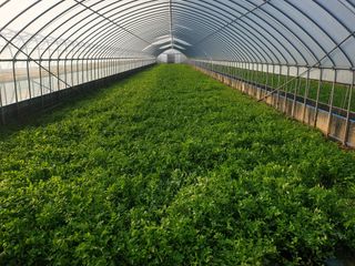 홍준영님의 자유주제 · 자유게시판 작성글 사진