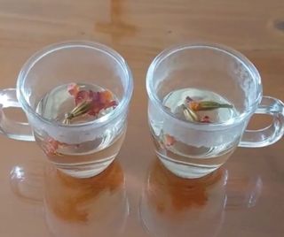 고랑이랑 임수연님의 자유주제 · 자유게시판 작성글 사진