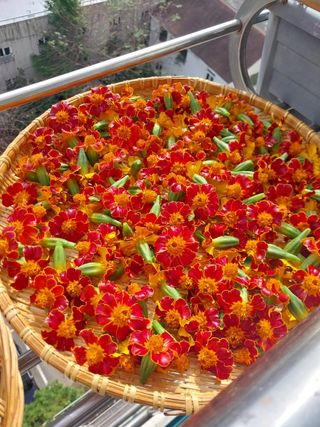 고랑이랑 임수연님의 자유주제 · 자유게시판 작성글 사진