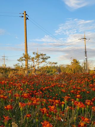 고랑이랑 임수연님의 자유주제 · 자유게시판 작성글 사진