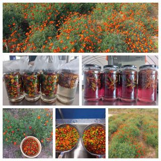 고랑이랑 임수연님의 자유주제 · 자유게시판 작성글 사진