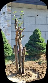 팜모닝 나에게 딱 한가지 능력이 생긴다면?·참여글 게시글 이미지