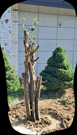 김정춘님의 나에게 딱 한가지 능력이 생긴다면? · 참여글 작성글 사진