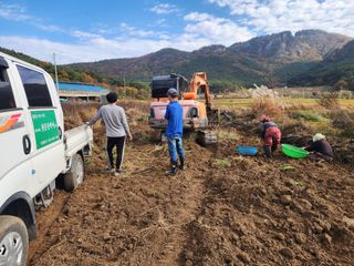 이창신님의 블루베리 · 영농일지 작성글 사진