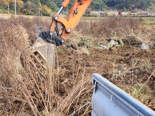 이창신님의 블루베리 · 영농일지 작성글 사진