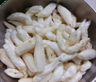 이창신님의 블루베리 · 영농일지 작성글 사진