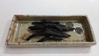 이창신님의 블루베리 · 영농일지 작성글 사진