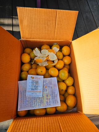 νμ²μ°μ±λμλμ μμ μ£Όμ Β· μμ κ²μν μμ±κΈ μ¬μ§