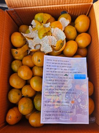 νμ²μ°μ±λμλμ μμ μ£Όμ Β· μμ κ²μν μμ±κΈ μ¬μ§