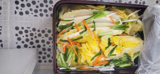 조애연님의 자유주제 · 자유게시판 작성글 사진