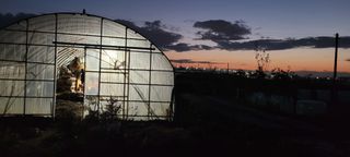 살구15128님의 기타작물 · 영농일지 작성글 사진