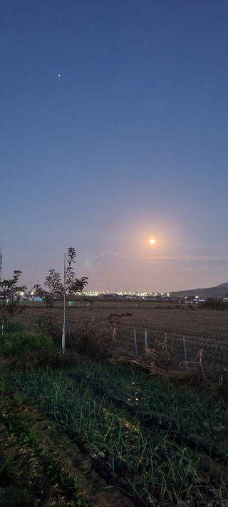살구15128님의 기타작물 · 영농일지 작성글 사진