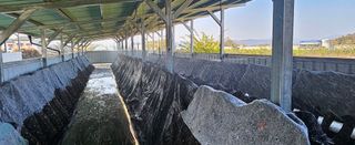 종합선물세트님의 자유주제 · 자유게시판 작성글 사진