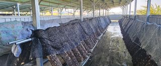 종합선물세트님의 자유주제 · 자유게시판 작성글 사진