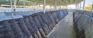 종합선물세트님의 자유주제 · 자유게시판 작성글 사진