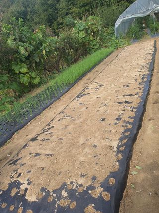 김팔열님의 작성글 사진