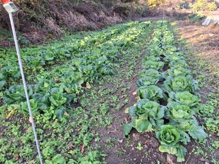 수기님의 자유주제 · 자유게시판 작성글 사진