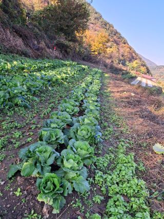 수기님의 자유주제 · 자유게시판 작성글 사진