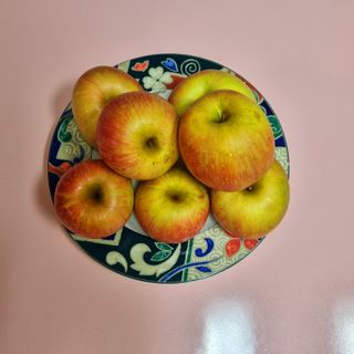 (팽나무*공주)님의 자유주제 · 자유게시판 작성글 사진