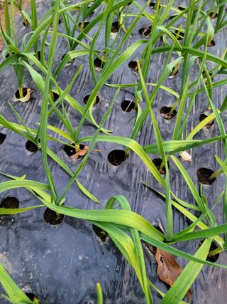 정소망님의 자유주제 · 자유게시판 작성글 사진