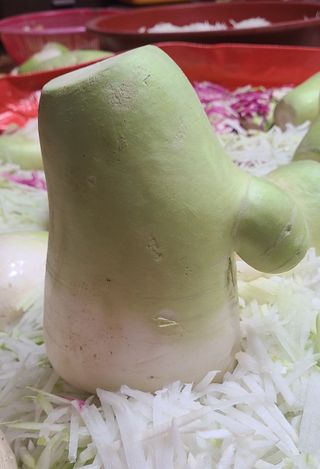 정진해님의 자유주제 · 자유게시판 작성글 사진