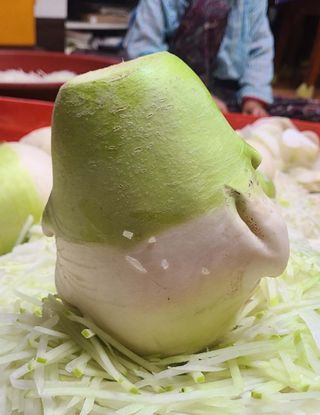 정진해님의 자유주제 · 자유게시판 작성글 사진