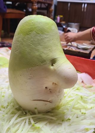 정진해님의 자유주제 · 자유게시판 작성글 사진