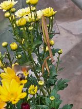 팜모닝 자유주제·자유게시판 게시글 이미지