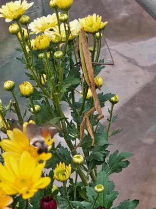 용포물레방아님의 자유주제 · 자유게시판 작성글 사진