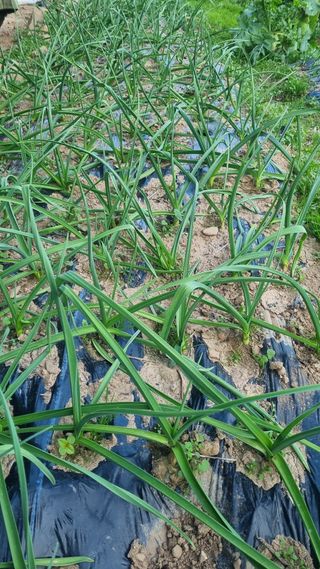 여백님의 자유주제 · 자유게시판 작성글 사진