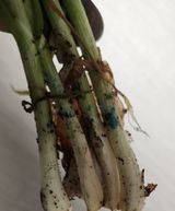 팜모닝 자유주제·자유게시판 게시글 이미지