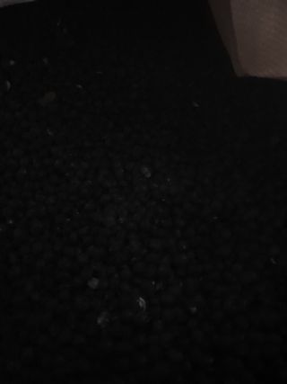 남궁홍님의 콩 · 영농일지 작성글 사진