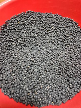 김연숙님의 자유주제 · 자유게시판 작성글 사진