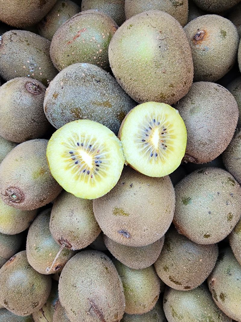 장터 상품 [골드키위 5키로] 썸네일