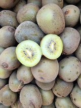 팜모닝 · 게시글 이미지