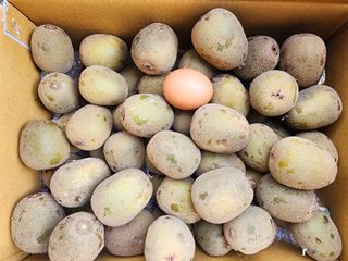 돌하루방농원(이미정님의 작성글 사진