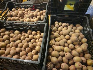 돌하루방농원(이미정님의 작성글 사진