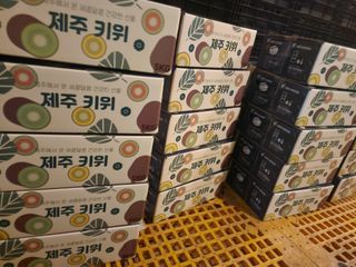 돌하루방농원(이미정님의 작성글 사진